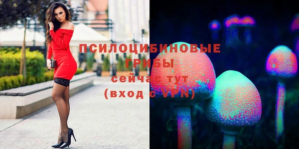 ECSTASY Лагань